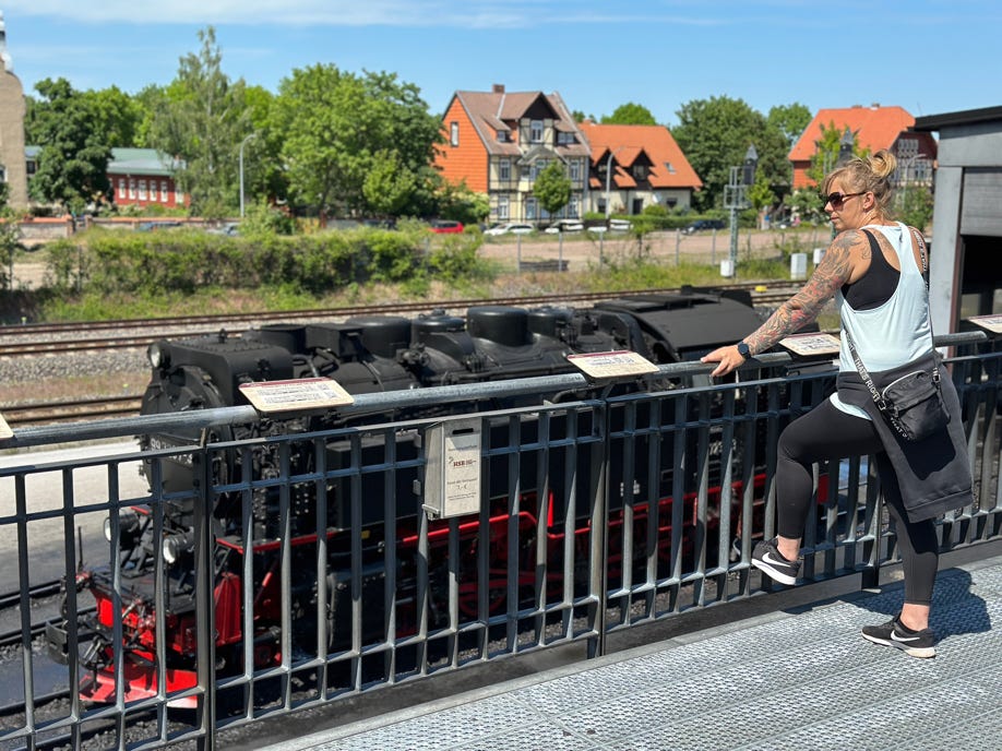 Kröte in Wernigerode mit einem Harzbullen 